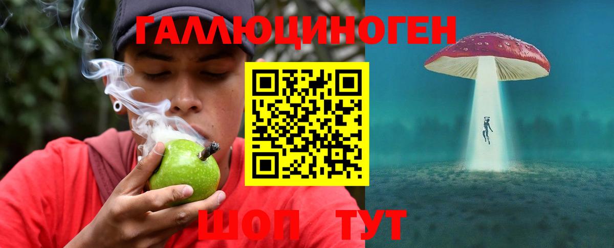 Ливны  Псилоцибиновые грибы Psilocybe  Вход с VPN 